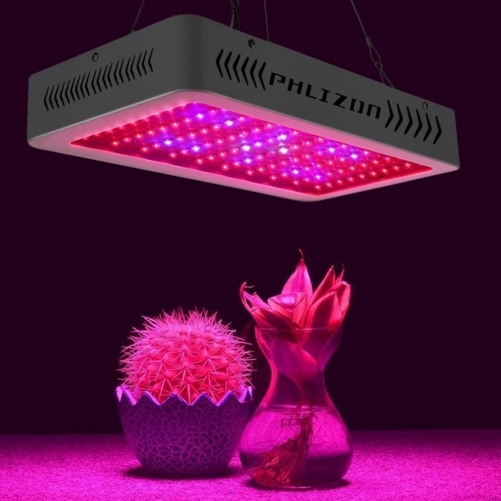 Growing Vegetables Indoors With Led Lights Phlizon 600W Led Grow Light Full Spectrum Indoor Fitolampy Photo 310
