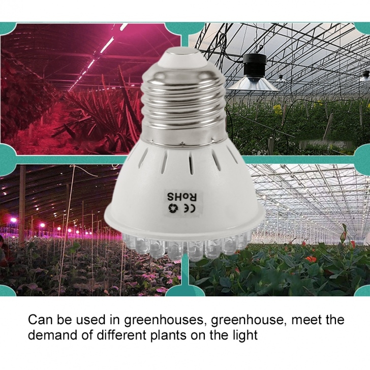 Growing Vegetables Indoors With Lights E27 Ac 110-220V Led Plant Grow Light Lamp Hydroponic Image 703