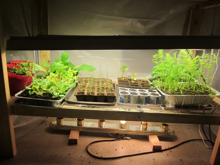 Growing Vegetables Indoors With Lights How To Make A Grow Light For Your Garage – Idaho Gardening Image 339
