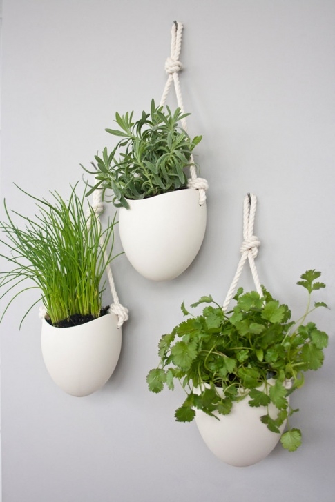 Hanging Flower Pots Indoors 53 Indoor Garden Idea – Hang Your Plants From The Ceiling Image 517
