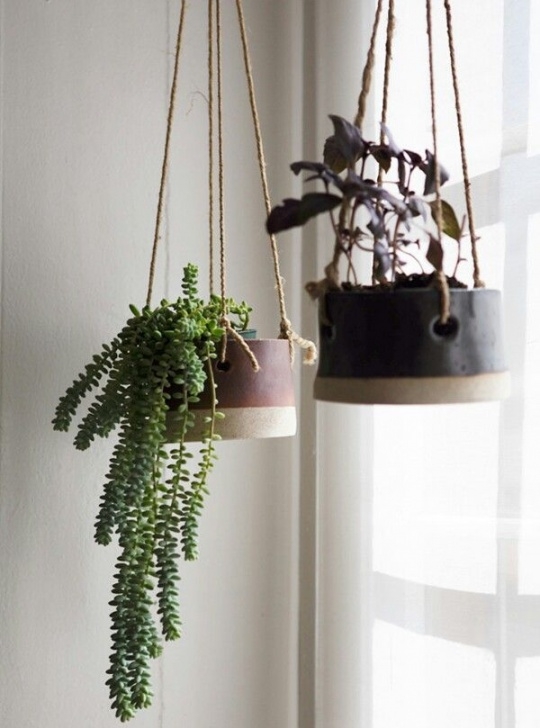 Hanging Flower Pots Indoors Indoor Hanging Baskets | Hanging Plants, Plants, Hanging Image 400
