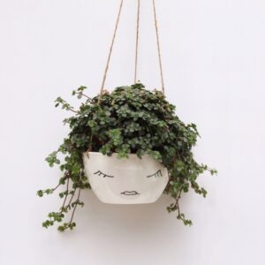 Hanging Flower Pots Indoors White Ceramic Hanging Planter With Pilea | Kaktus, Doniczki Picture 427