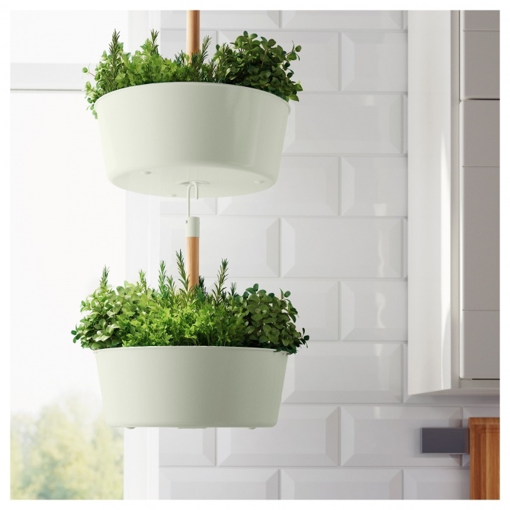 Hanging Herb Garden Ikea Furniture And Home Furnishings | Hanging Planters, Ikea Image 353