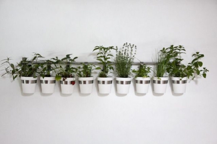 Hanging Herb Garden Ikea Ikea Cutlery Caddy Used As A Planter. | Vertical Herb Image 593