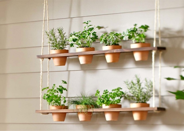 Hanging Herb Garden Indoor 37 Cool Hanging Herb Garden Ideas To Grow Your Favorite Photo 653