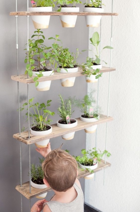 Hanging Herb Garden Indoor G 4 Gardening: Indoor Herb Garden Ideas Photo 611