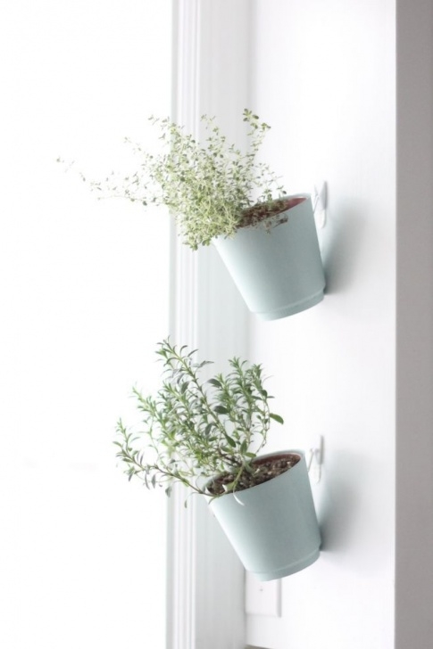 Hanging Herb Garden Indoor Hanging Herb Planters Indoor Herb Garden Picture 589