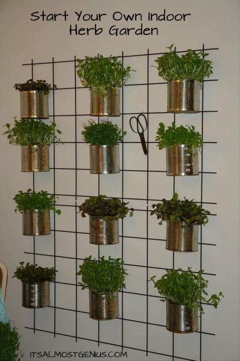 Hanging Herb Garden Indoor Outdoor Herb Garden Ideas - The Idea Room Image 695