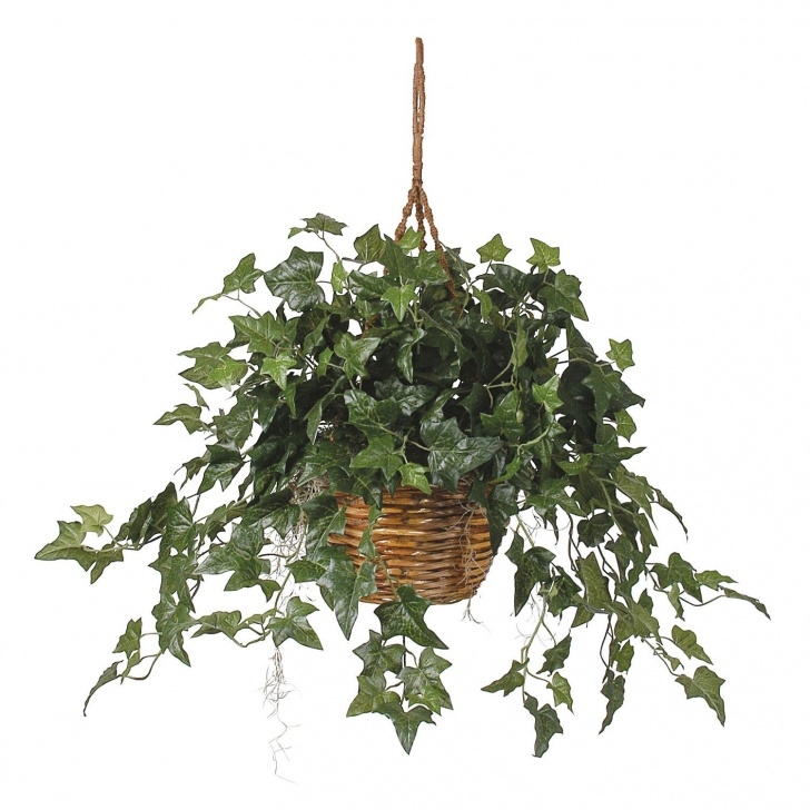Hanging Plant Baskets Indoor English Ivy Hanging Basket Silk Plant | Recipes Picture 054