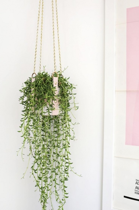 Hanging Plant Baskets Indoor The 25+ Best Diy Hanging Planter Ideas On Pinterest | Diy Photo 201