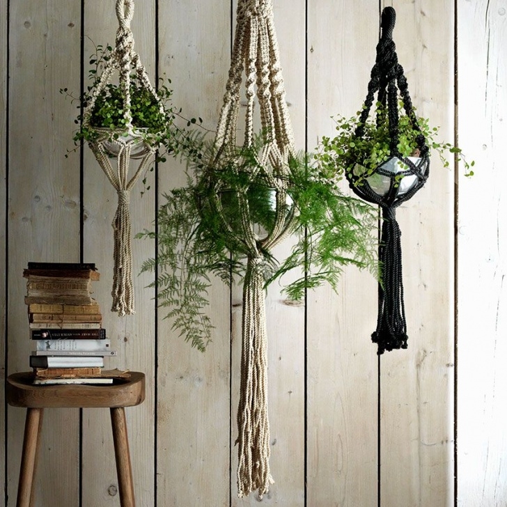 Hanging Plant Baskets Indoor These Hanging Indoor Planters Are Just The Ticket For Picture 912