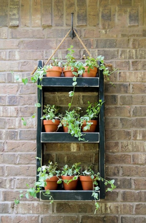 Hanging Plant Pots Outdoor Beaune Wall Planter Plant Pots Now Available Hanging Photo 770
