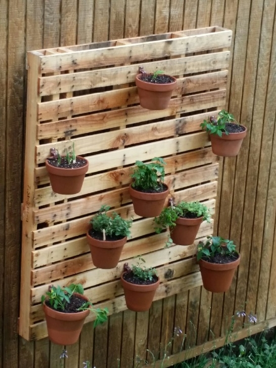 Hanging Plant Pots Outdoor Herb Garden On A Pallet Using Hangapot Flower Pot Hangers Photo 355