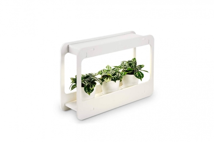 Herb Garden Grow Light 10 Easy Pieces: High Tech Herb Growing Kits - Gardenista Image 536