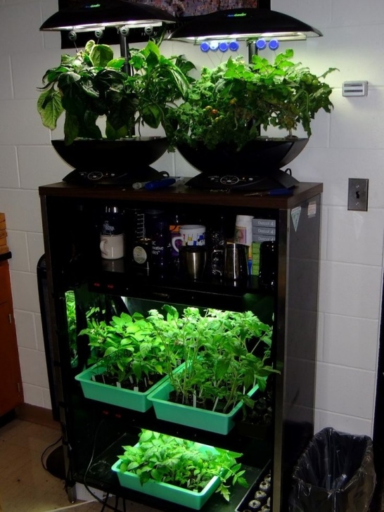Herb Garden Grow Light Enchanting Indoor Herb Garden Cabinet With Under Counter Photo 013