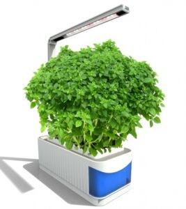 Herb Garden Grow Light Smart Herb Garden Kit Led Grow Light Hydroponic Growing Image 641