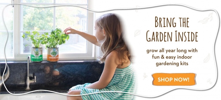 Herb Growing Kits For The Kitchen Bring The Garden Inside | Herb Garden In Kitchen, Garden Image 426