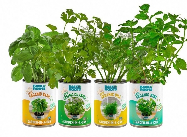 Herb Growing Kits For The Kitchen Indoor Herb Growing Kit Back To The Roots Garden In A Can Photo 289