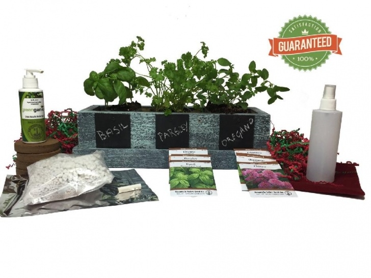 Herb Growing Kits For The Kitchen Indoor Kitchen Herb Garden Kit - Fresh Ready To Pick Herbs Photo 641