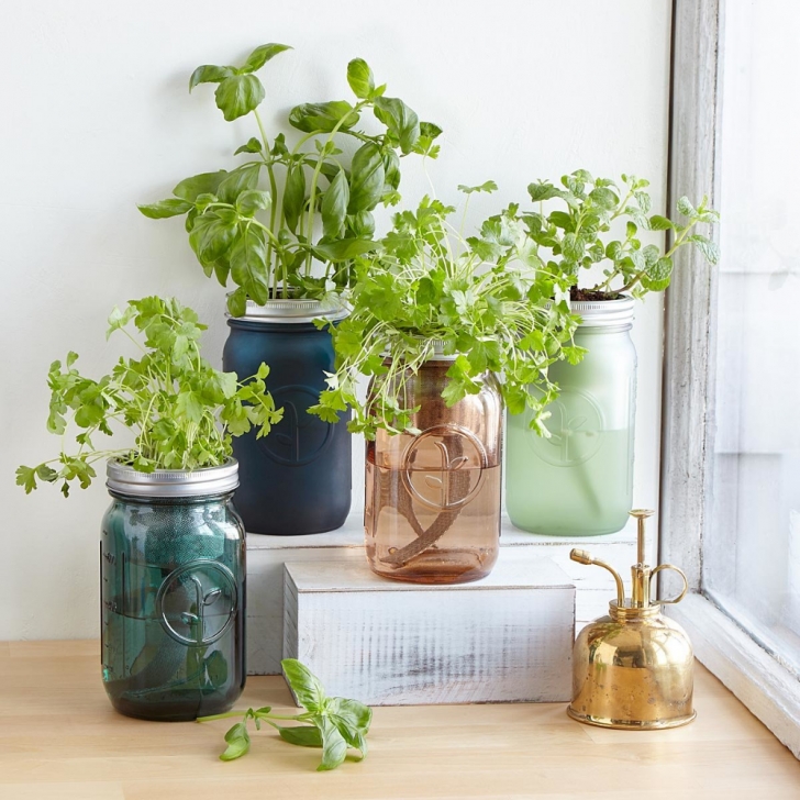 Herb Growing Kits For The Kitchen Mason Jar Indoor Herb Garden | Hydroponic Grow Kit (With Photo 270