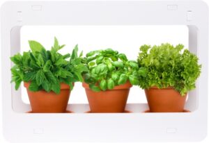 Herb Kits For Indoors Mindful Design White Led Indoor At Home Mini Window Image 025