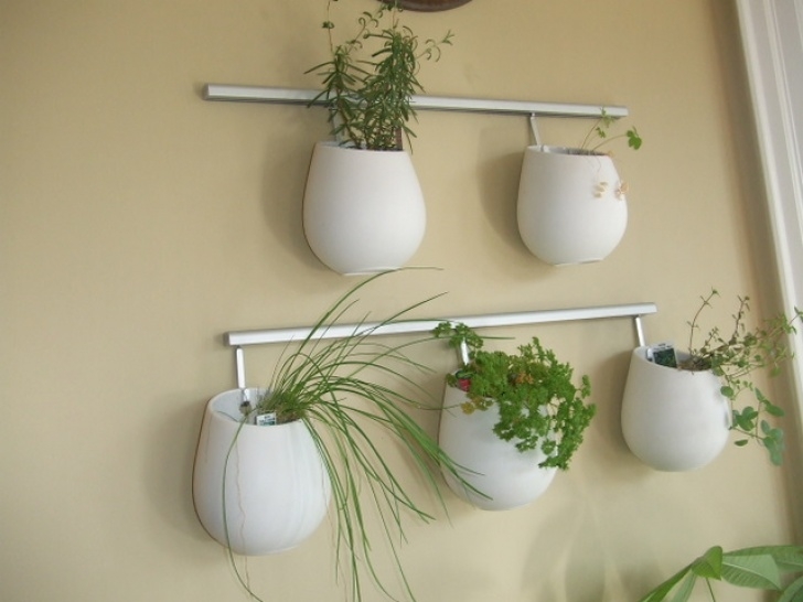 Herb Plants For Kitchen 5 Easy Ways To Grow Herbs In Your Kitchen Year Round | The Photo 700