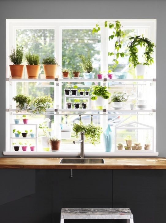 Herb Plants For Kitchen Current Obsessions: Ikea Hacks For Under $50: Gardenista Picture 516