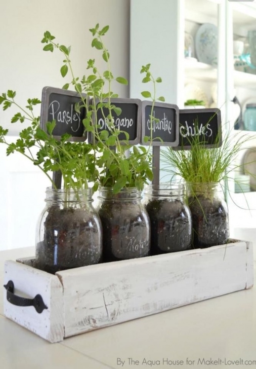 Herb Plants For Kitchen Herbs In Old Drawer Inside Fruit Jars For Kitchen Window Image 713