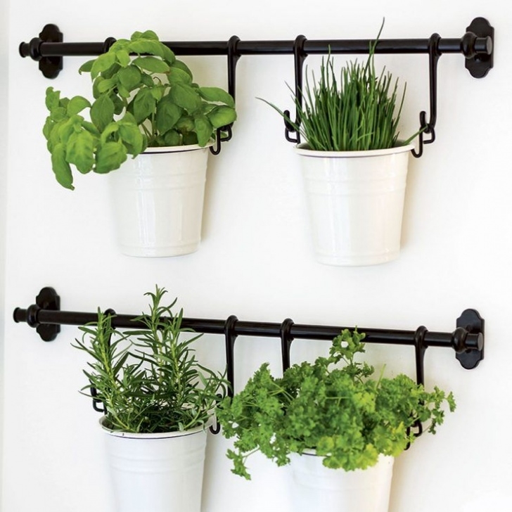 Herb Plants For Kitchen Kitchens: Have A Look Around This Airy Country Kitchen Picture 786
