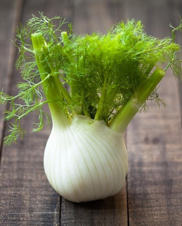 Herbs You Can Grow Indoors 9 Best Herbs And Vegetable You Can Grow Indoors In Water Photo 130