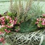 Herbst Garten Ideen - Bildergebnis Für Herbstliche Kübelbepflanzung Photo 120
