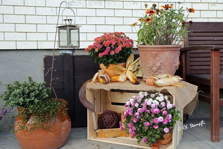 Herbst Garten Ideen - Terrassen Deko Basteln Photo 325
