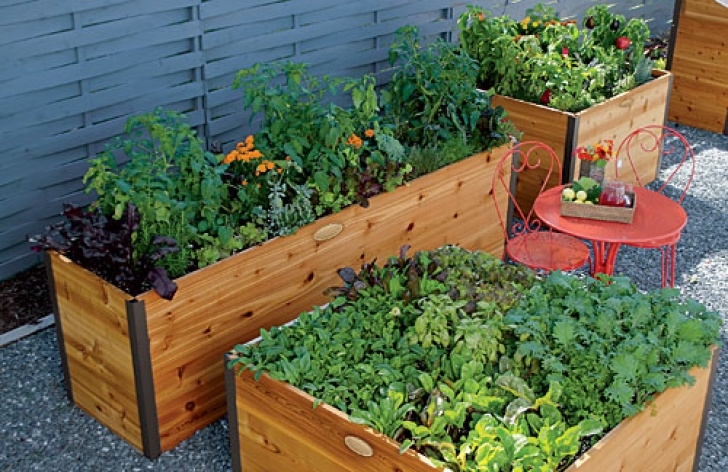 High Raised Garden Beds Urban Gardening, Vegetables In Planters | Gardener'S Supply Image 357