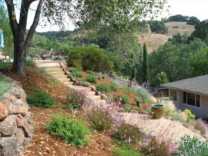 Hillside Garden Landscaping Creative Hillside Landscape Ideas | Walsall Home And Garden Picture 953