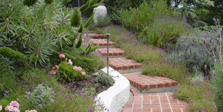 Hillside Garden Landscaping Hillside Landscaping - How To Landscape A Slope Image 540
