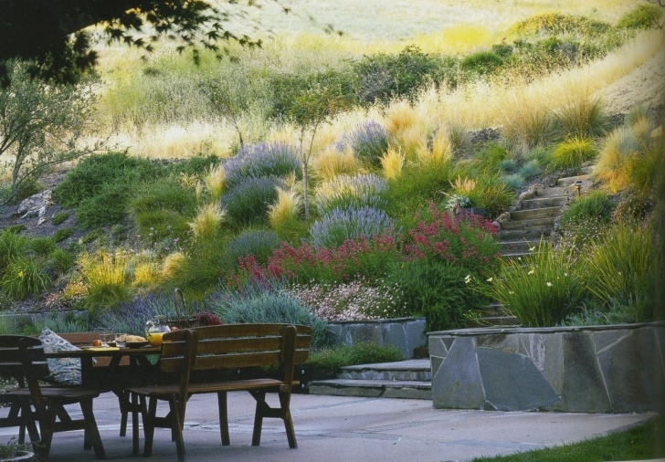 Hillside Garden Landscaping The Rusted Trowel: Landscaping Hillsides Picture 434