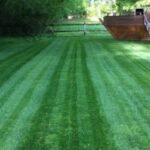Home And Garden Maintenance Services New Tampa Lawn Service | Home And Garden Designs Picture 991