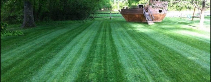 Home And Garden Maintenance Services New Tampa Lawn Service | Home And Garden Designs Picture 991