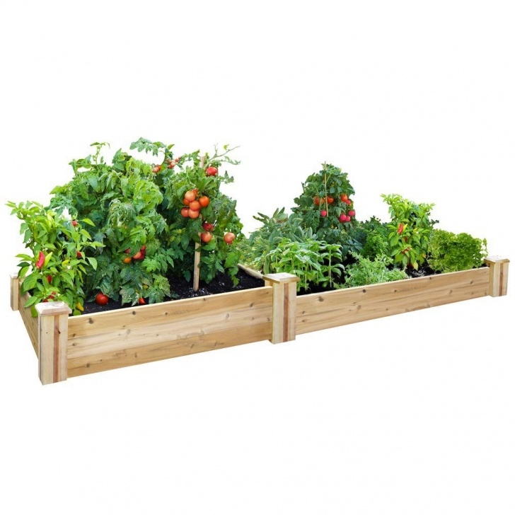 Home Depot Raised Bed Soil Earthmark Alto Series 22 In. X 40 In. X 17 In. Rectangle Photo 059