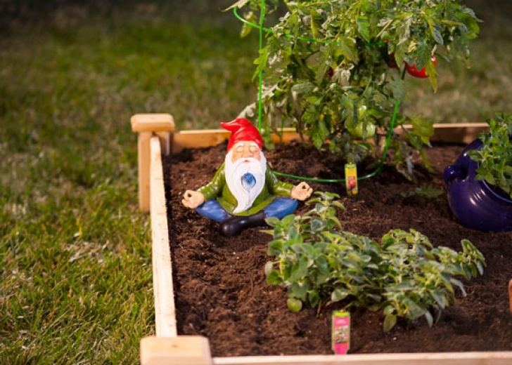 Home Depot Raised Bed Soil Personalize Your Raised Bed Garden | Garden Club Picture 826