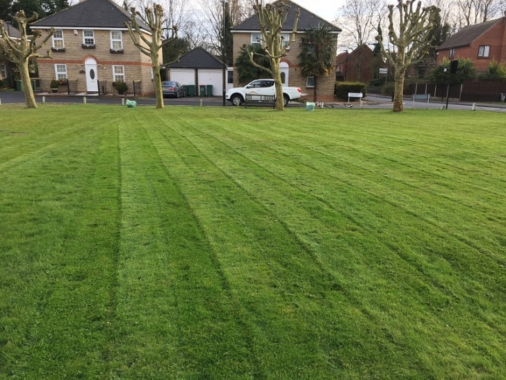 Home Garden Maintenance Services Garden Maintenance Lawn Mowing London - Green At Home Image 811