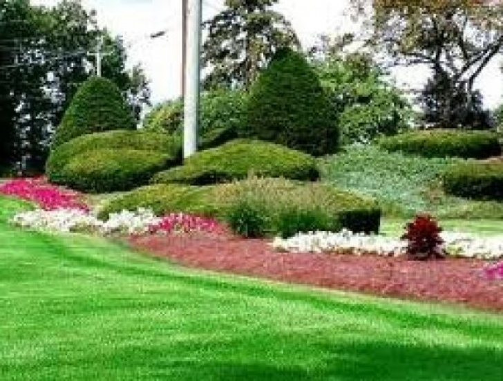 Home Garden Maintenance Services Grass Cutting Cork From 25, Home, Garden & Construction Photo 357