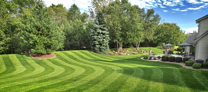Home Garden Maintenance Services Presidential Properties Lawn Care - Presidential Image 077