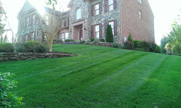 Home Garden Maintenance Services Residential Lawn Care & Turf Care | Northern Virginia Photo 928