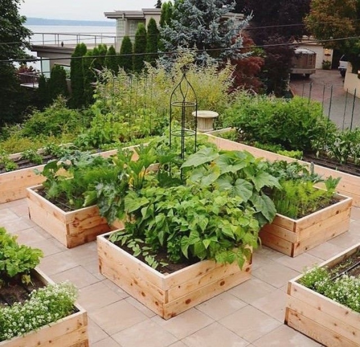 Home Gemüsegarten Ideen Atemberaubende Image 630