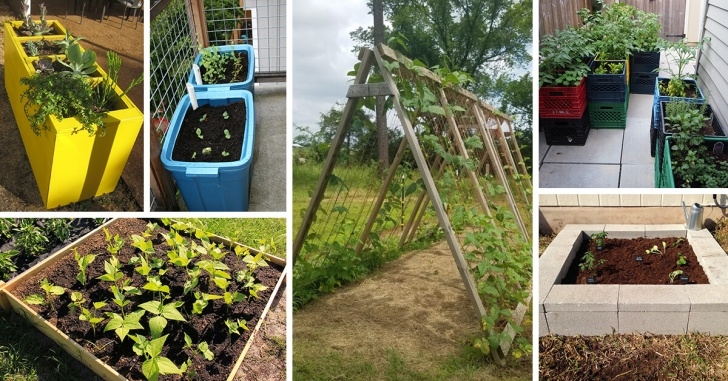 Homemade Raised Garden Bed 13 Best Diy Raised Garden Bed Ideas And Designs For 2020 Picture 890