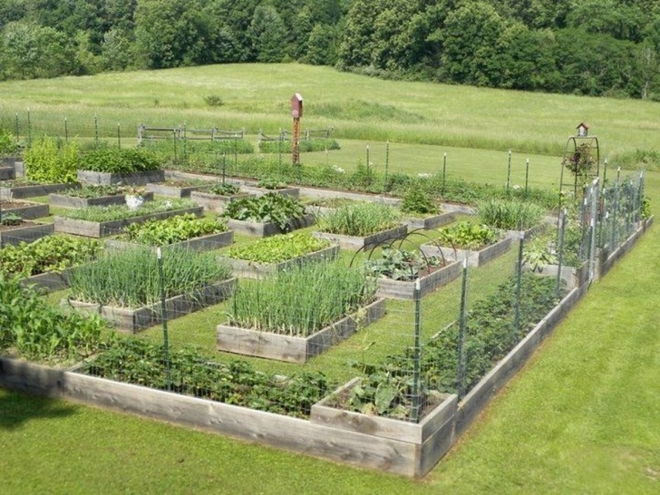 Homestead Gardens Landscaping 20 Inspiring Homestead Farm Garden Layout And Design Ideas Picture 822
