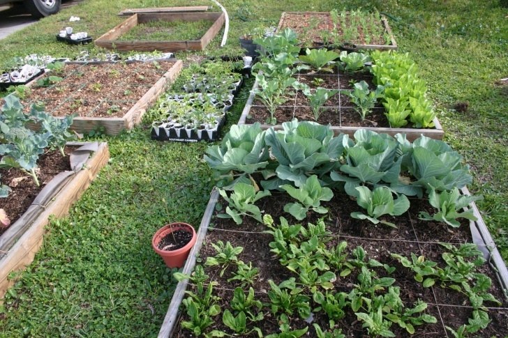 Homestead Gardens Landscaping Homestead Life: How To Build A Square Foot Garden Image 539