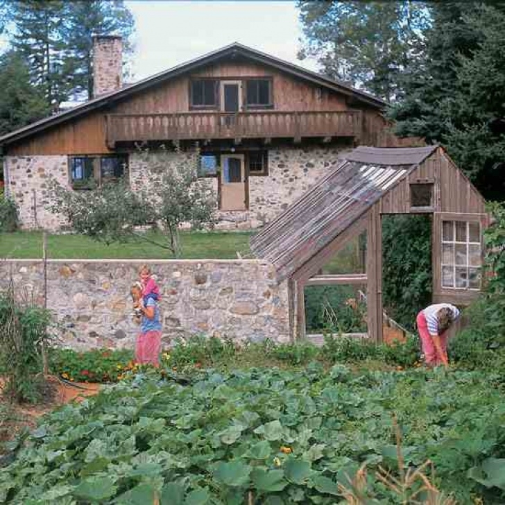 Homestead Gardens Landscaping Nearing Enough | Mother Earth News Image 392