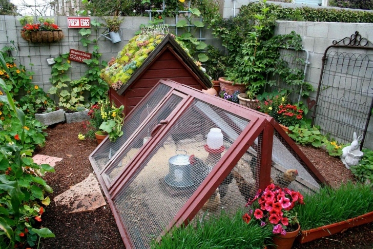 Homestead Gardens Landscaping This Gorgeous Micro-Urban Homestead Belongs To Theresa Loe Picture 264
